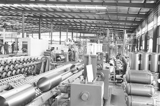 創(chuàng)新驅(qū)動(dòng)，綠色未來(lái) 探訪邯鄲工業(yè)園區(qū)飛翔新能源科技股份有限公司